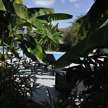 Gites Jardin-Darcy - Piscine Au Sel Bois Exteriör bild