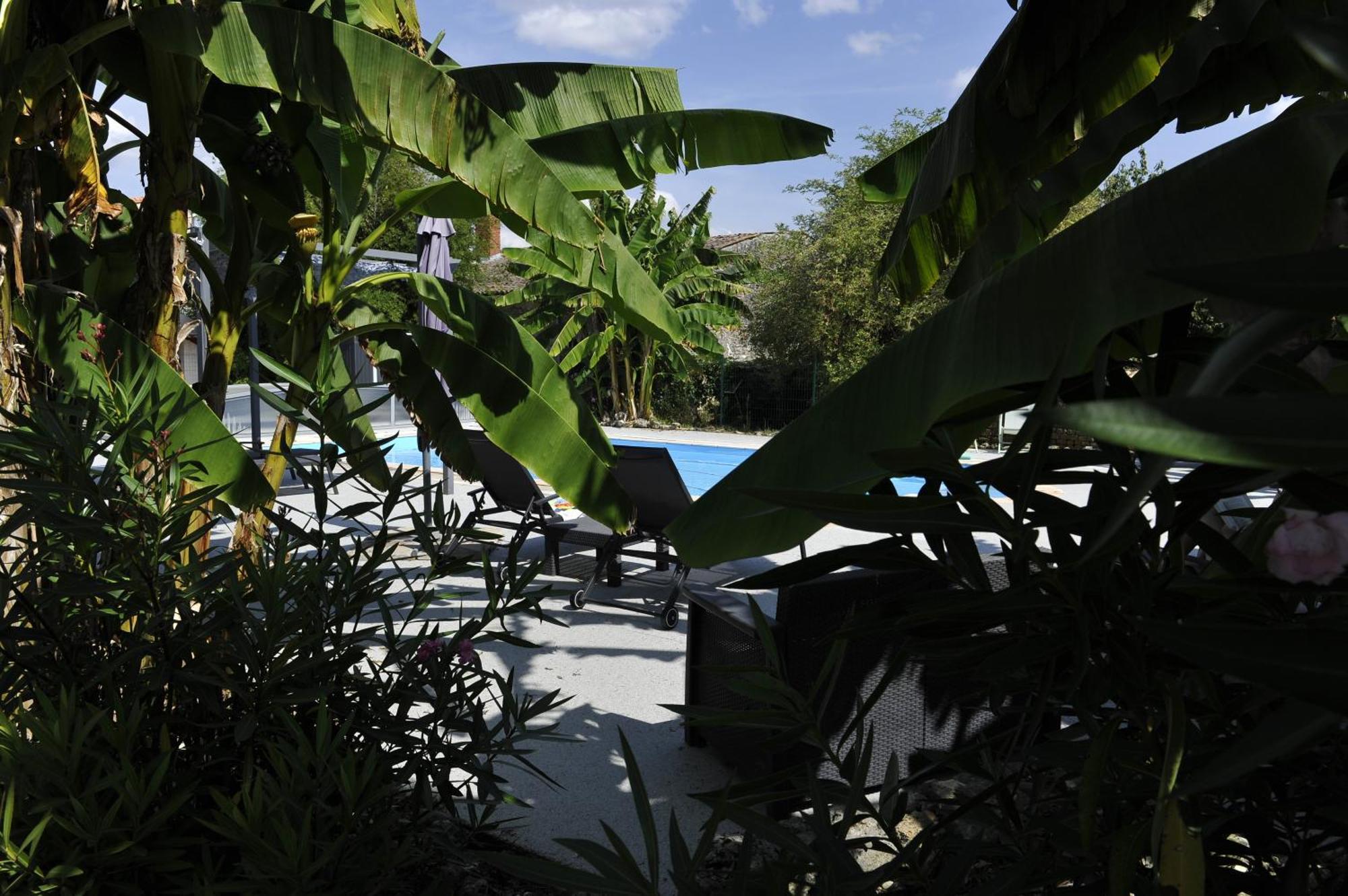 Gites Jardin-Darcy - Piscine Au Sel Bois Exteriör bild