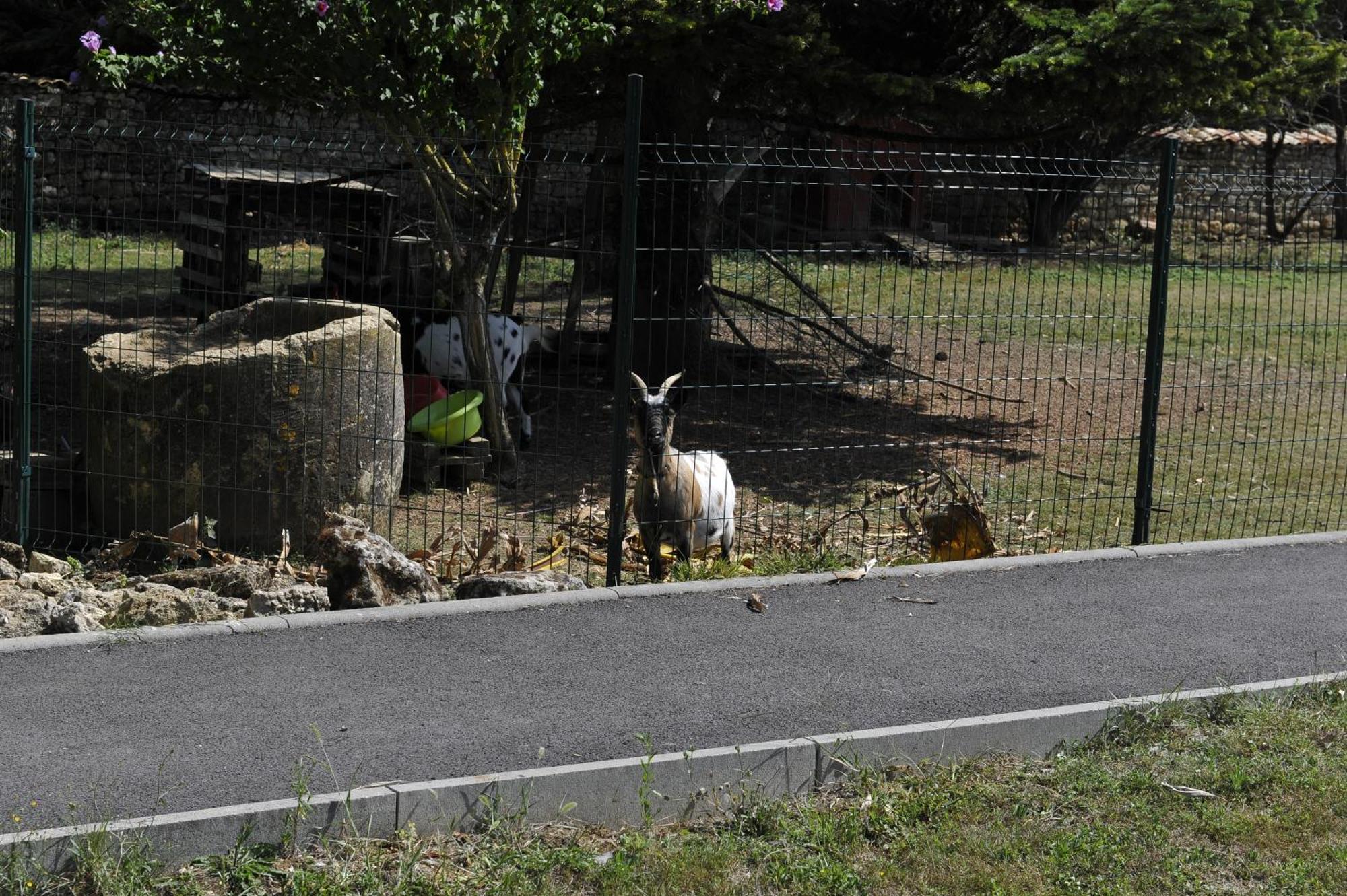 Gites Jardin-Darcy - Piscine Au Sel Bois Exteriör bild